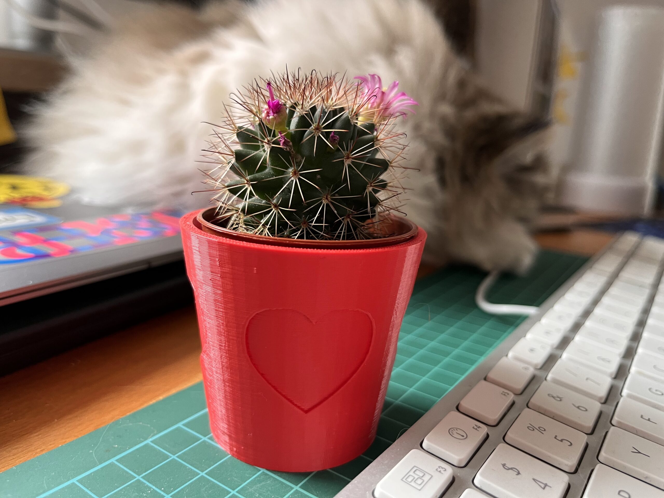 3D-Druck zum Valentinstag oder Mutter- / Vatertag