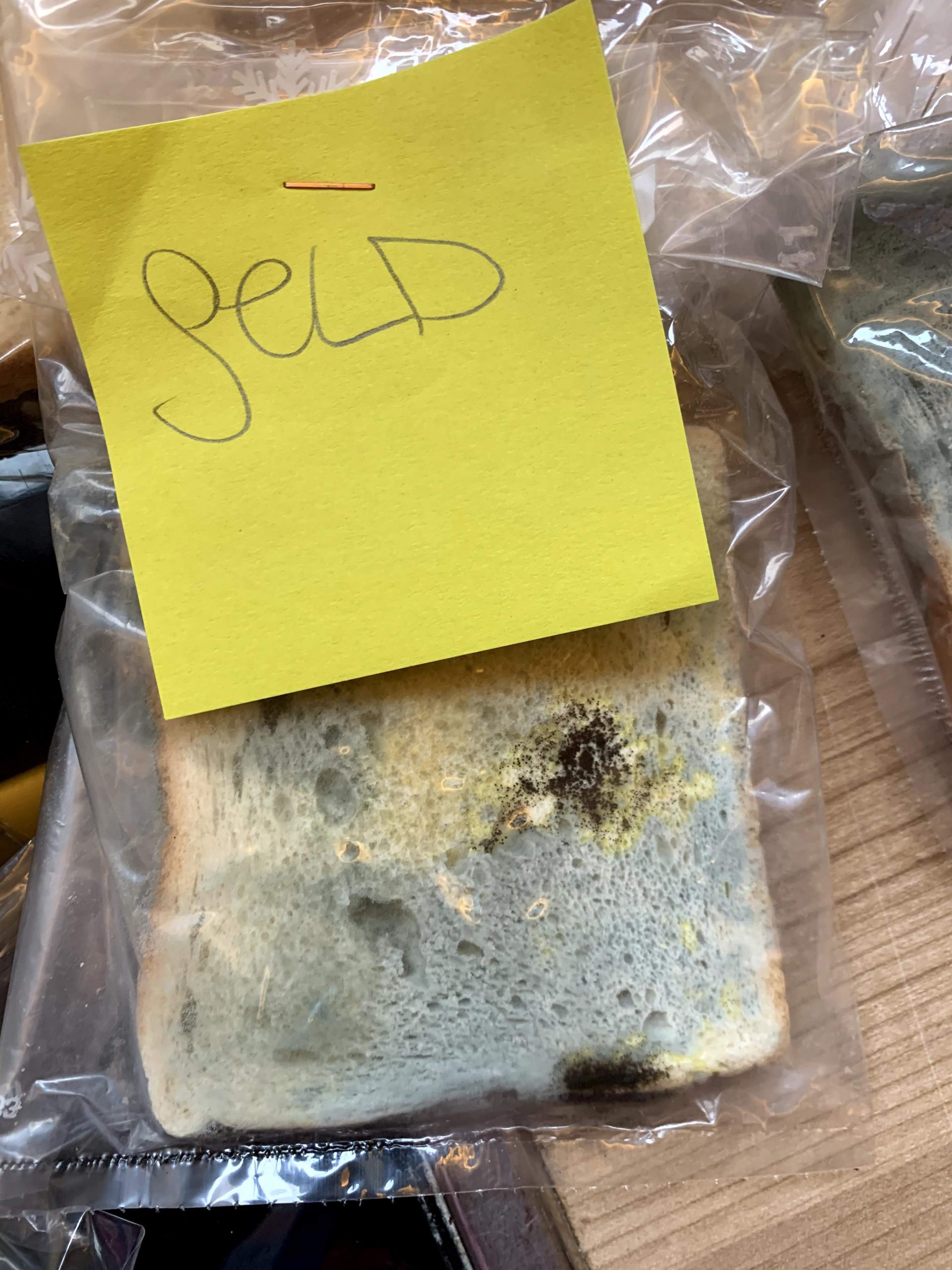 Der Toast-Brot-Versuch