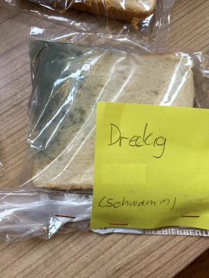 Der Toast-Brot-Versuch