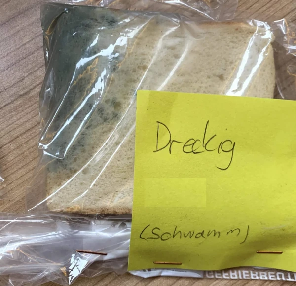 Der Toast-Brot-Versuch